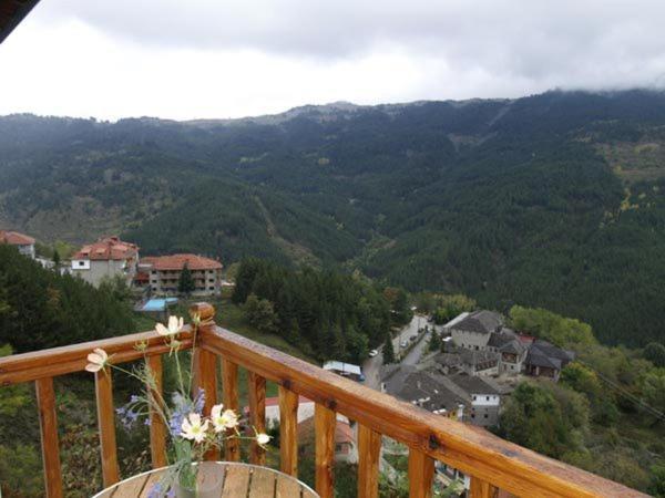 Hotel Anax Мецово Екстериор снимка
